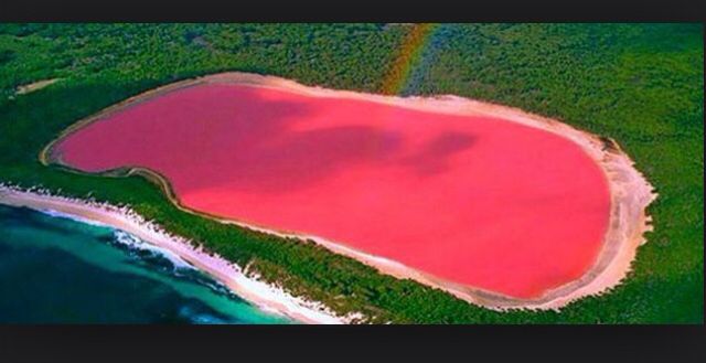 Pink Lake In Western Australia Beautiful Area Great For Swimming Pink Lake In Western Australia Beautiful Area Great For Swimming