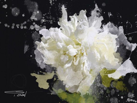 blow flower print blow flower floral abstract art white floral