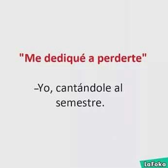 Me Dediqué A Perderte Frases Graciosas Frases Divertidas Memes Divertidos