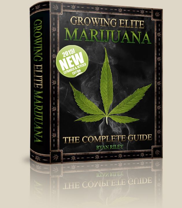 Growing Elite Marijuana: The Complete Guide