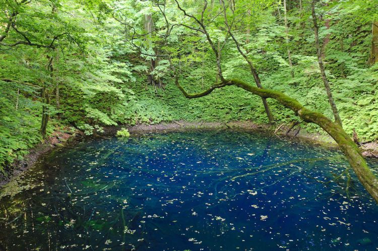 こんなに見どころあるなんて 東北で訪れるべき 至極の絶景 まとめ Find Travel ファインドトラベル Japan Travel Scenery Trip こんなに見どころあるなんて 東北で訪れるべき 至極の絶景 まとめ Find Travel ファインドトラベル Japan Travel Scenery Trip