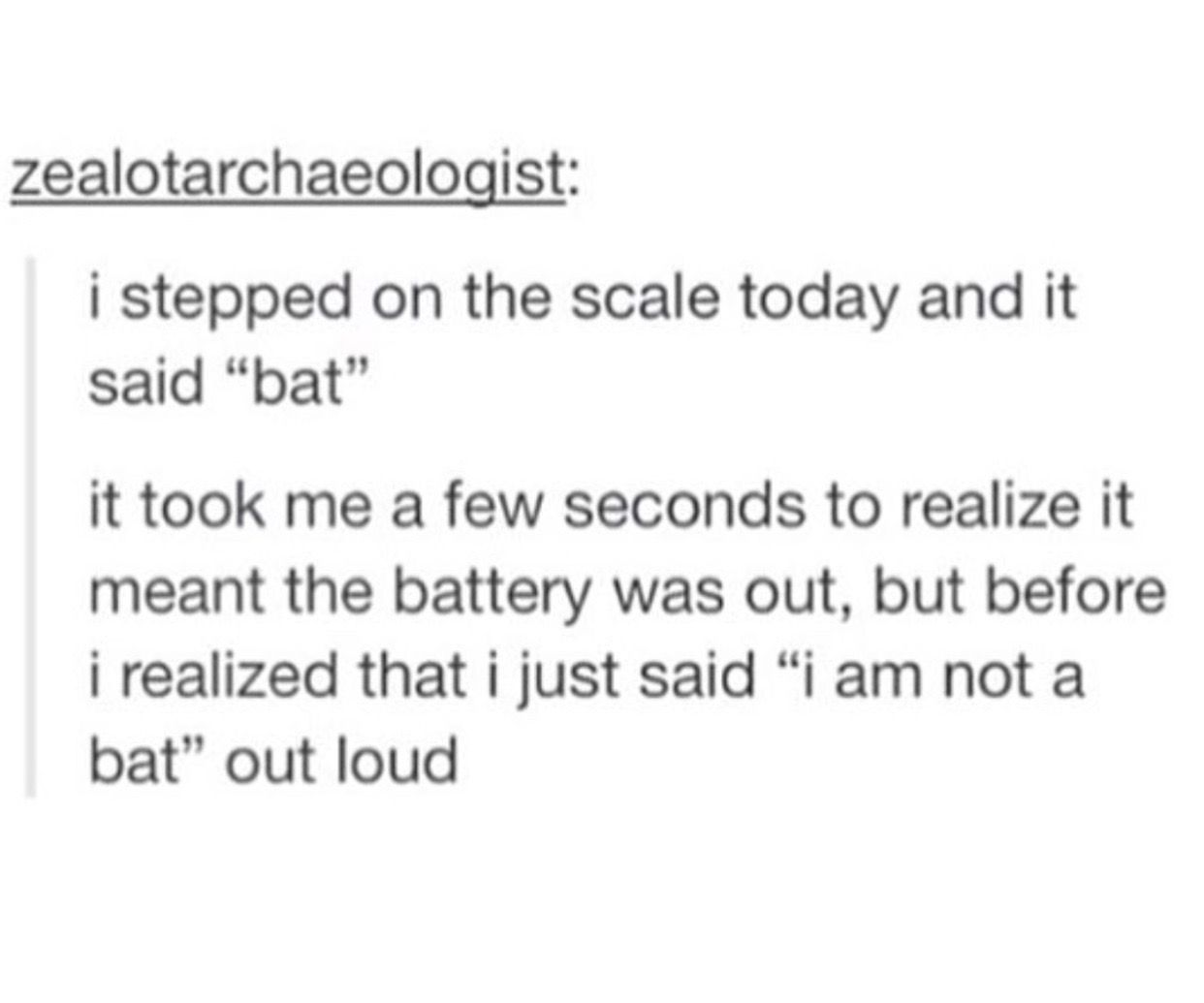 Current Mood indignantly Replaying To My Scale I Am Not A Bat Good Sir current-mood-indignantly-replaying-to-my-scale-i-am-not-a-bat-good-sir