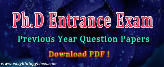 PhD Entrance Test Previous Papers Computational Biology, Previous Papers, Previous Year Question Paper, Test Questions, Entrance Exam, Phd, University, Community College, Colleges
