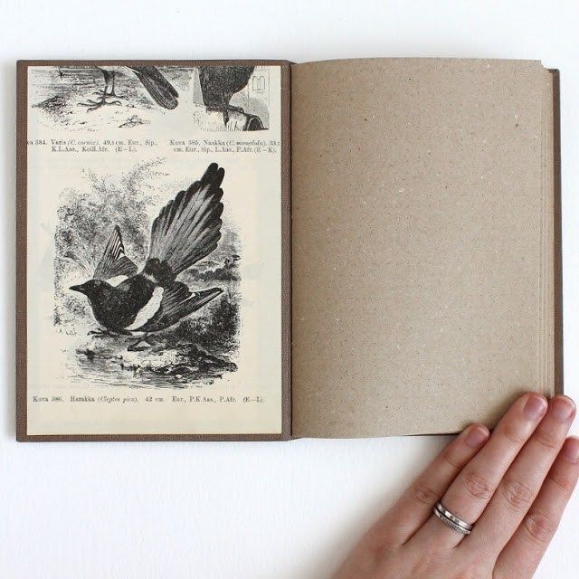 The Magpie Book And Other Notebooks — Paperiaarre | Book Making, Sketch Book, Handmade Books