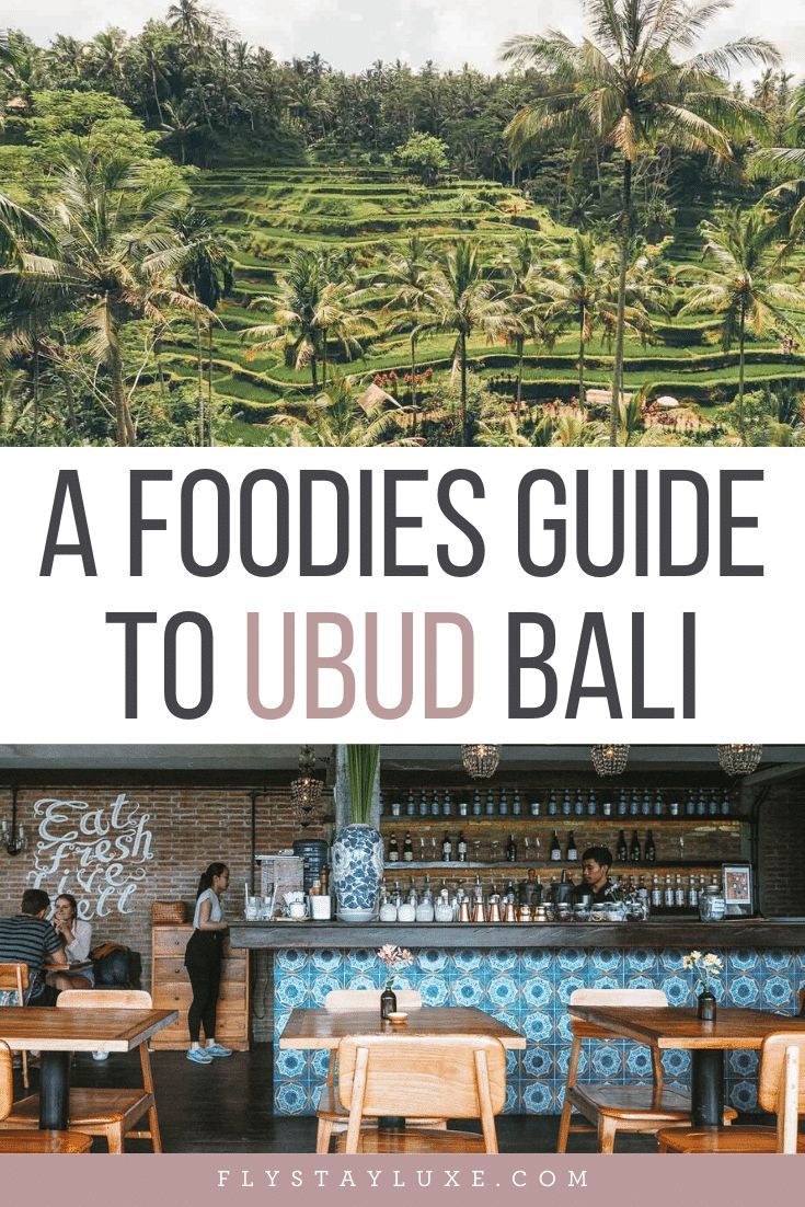 The Best Places To Eat In Ubud Bali Bali Travel Bali Travel Guide the-best-places-to-eat-in-ubud-bali-bali-travel-bali-travel-guide
