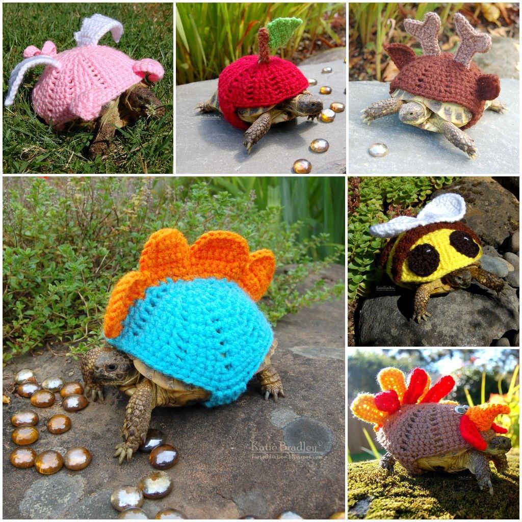 If you have the tortaddiction symptom, you will fall in love of those Katie Bradley creations. As Katie is addicted … Tortoise House, Tortoise Habitat, Cute Tortoise, Turtle Habitat, Baby Tortoise, Tortoise Care, Sulcata Tortoise, Tortoise Turtle, Turtle Tank