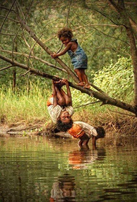 PLAYING IN THE TREES