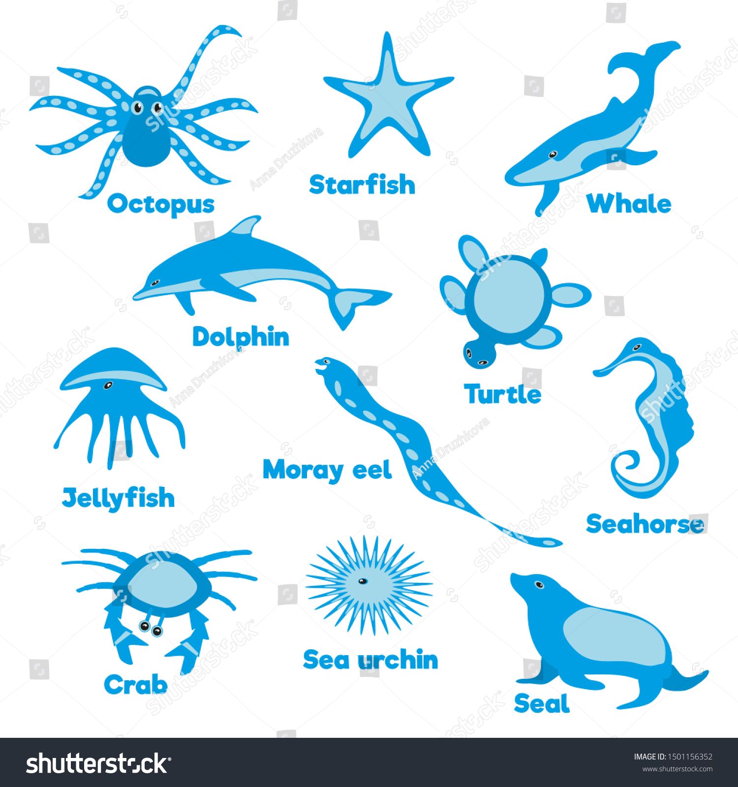 Set of ocean creatures on white background with animal names. Vector