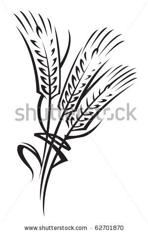 monochrome illustration of ears of wheat by alexkava via