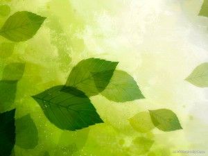 hdr green leaves background hd powerpoint templates powerpoint green presentation background