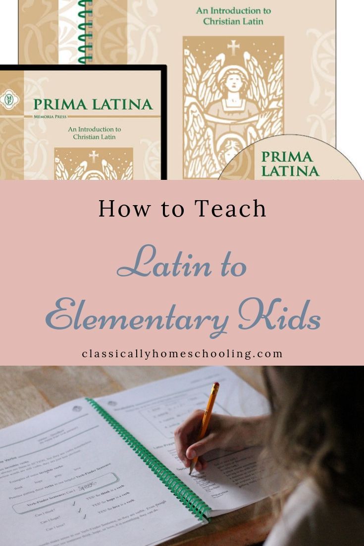 Don't be stressed about how to teach Latin to elementary students. Use a homeschool Latin curriculum like Prima Latina. Your child will be happily learning the Latin language in no time! #primalatina #homeschool #Latin #curriculum #student #foreignlanguage #language #learning #memoriapress Latin Language Learning, Homeschool Foreign Language, Teaching Latin, Homeschool Curriculum Reviews, Homeschool Elementary, Language Resources, Homeschool Planning, Homeschool Resources, Online Homeschooling