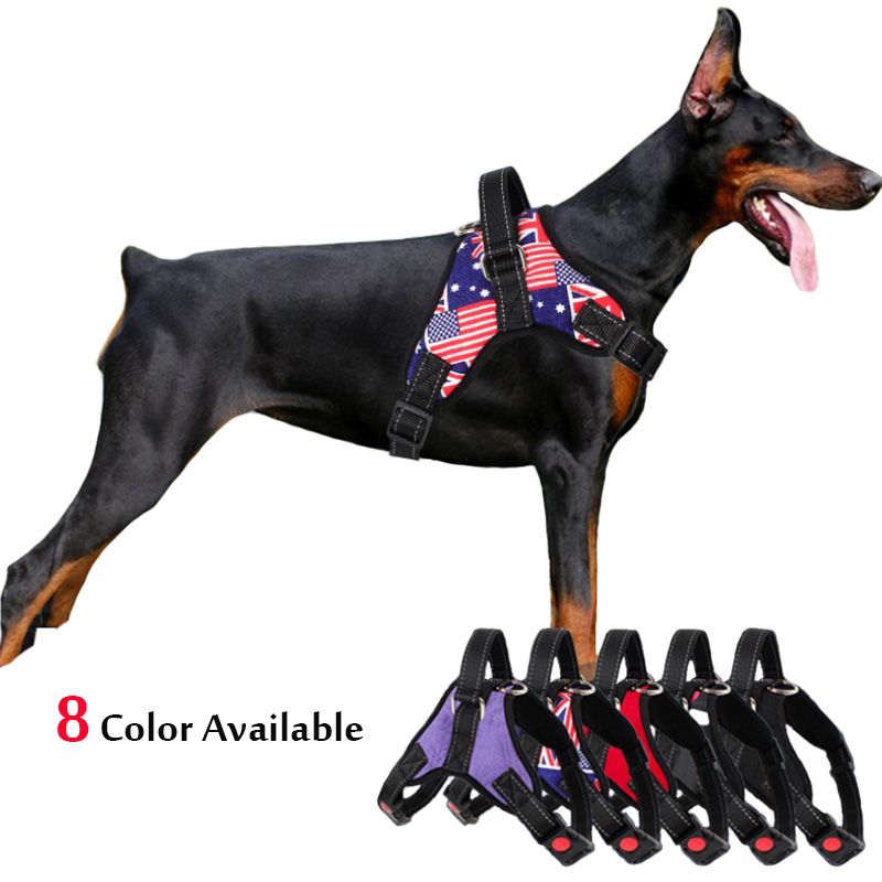 Pin Di Pet Products