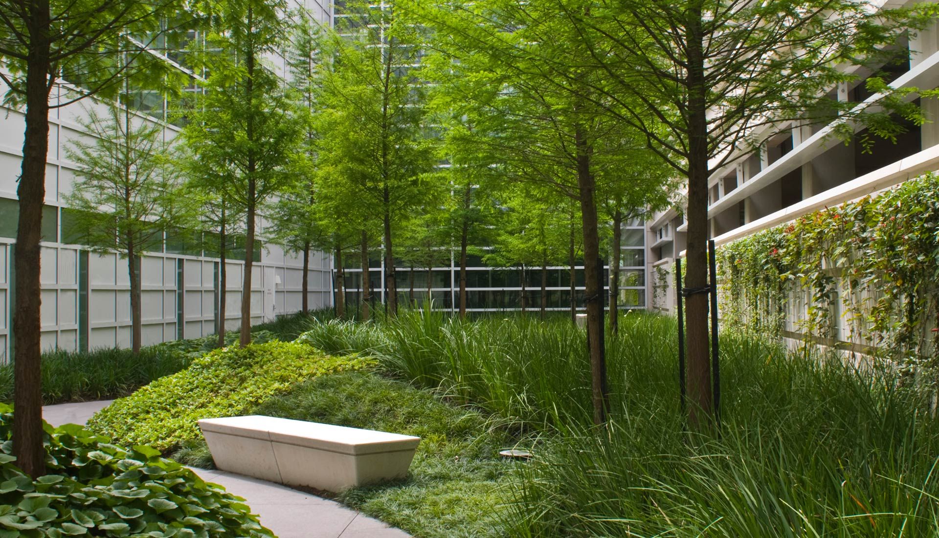 conoco philips headquarters