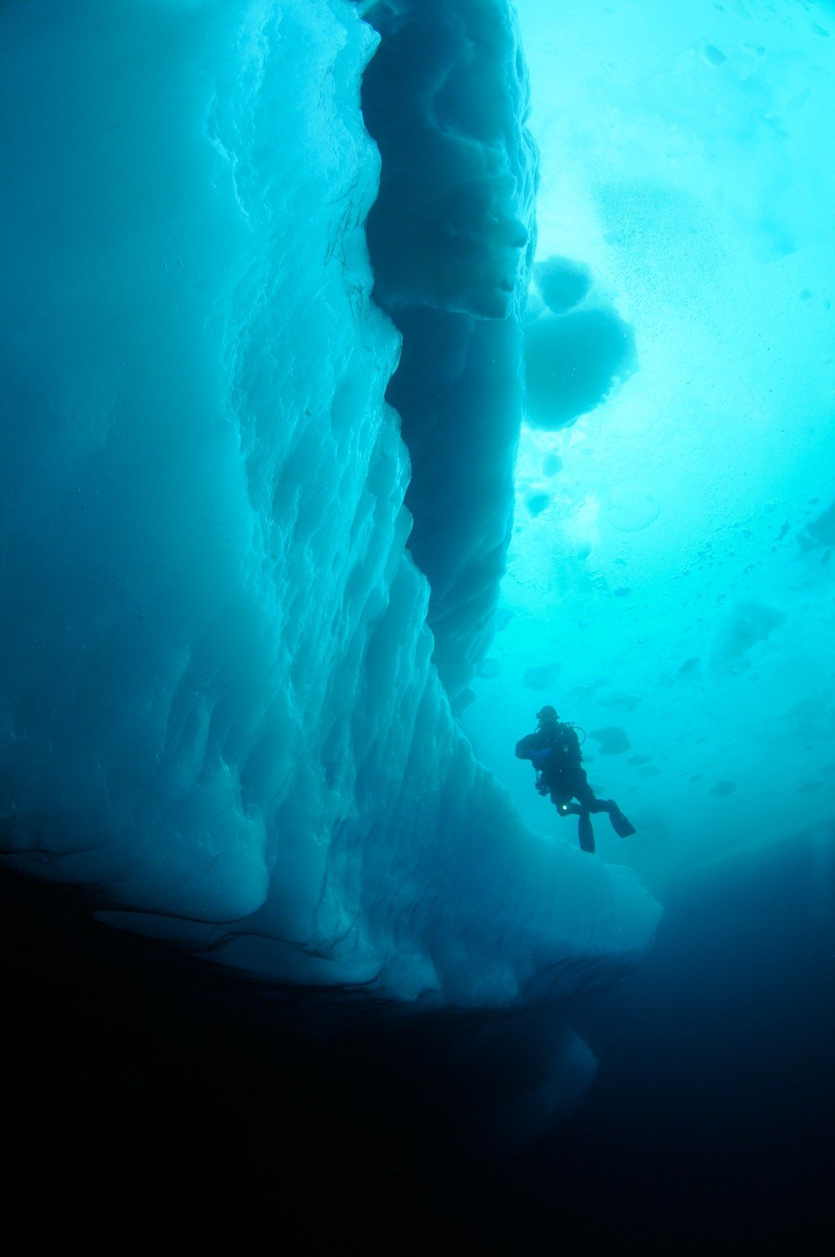 spectacular underwater photos of