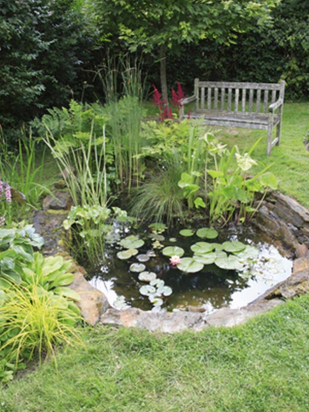 Lovely DIY Ponds To Make Your Garden Extra Beautiful 5 Small Water lovely-diy-ponds-to-make-your-garden-extra-beautiful-5-small-water
