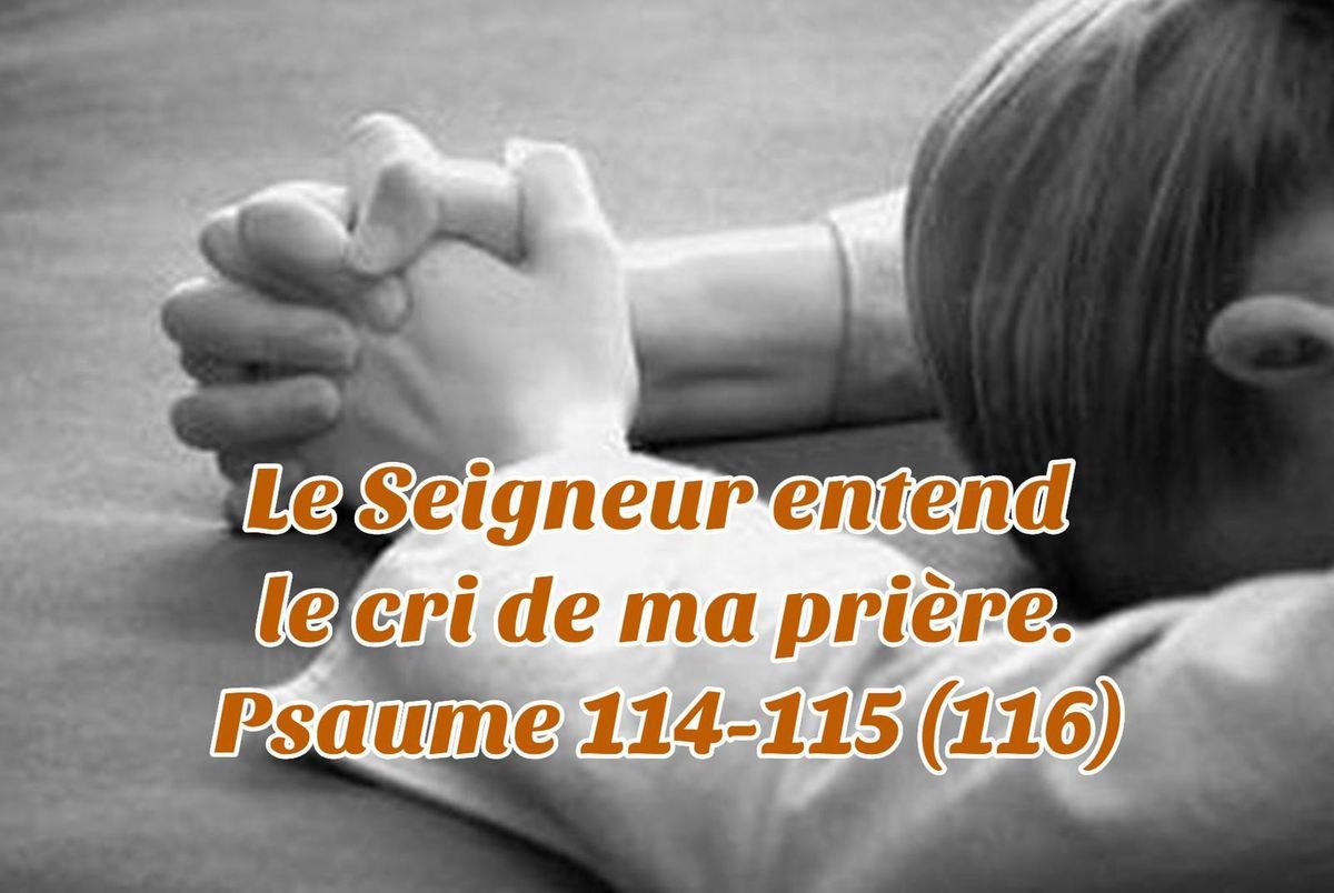 Le Seigneur entend le cri de ma prière. Psaume 114-115 (116) | Psaumes, Le cri, Seigneur