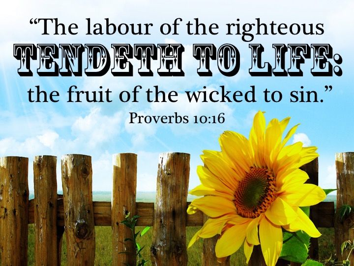Pin On Bible Verses Kjv