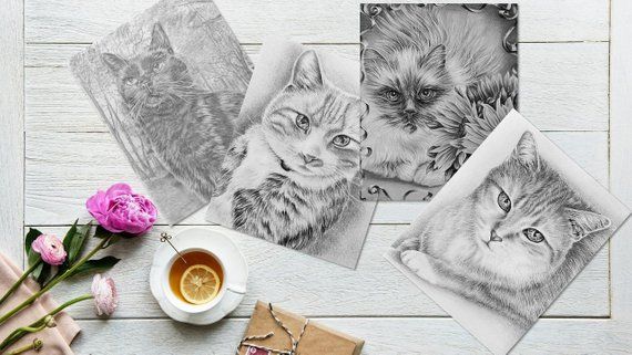 Pet lovers adult Pet lovers adult apologise
