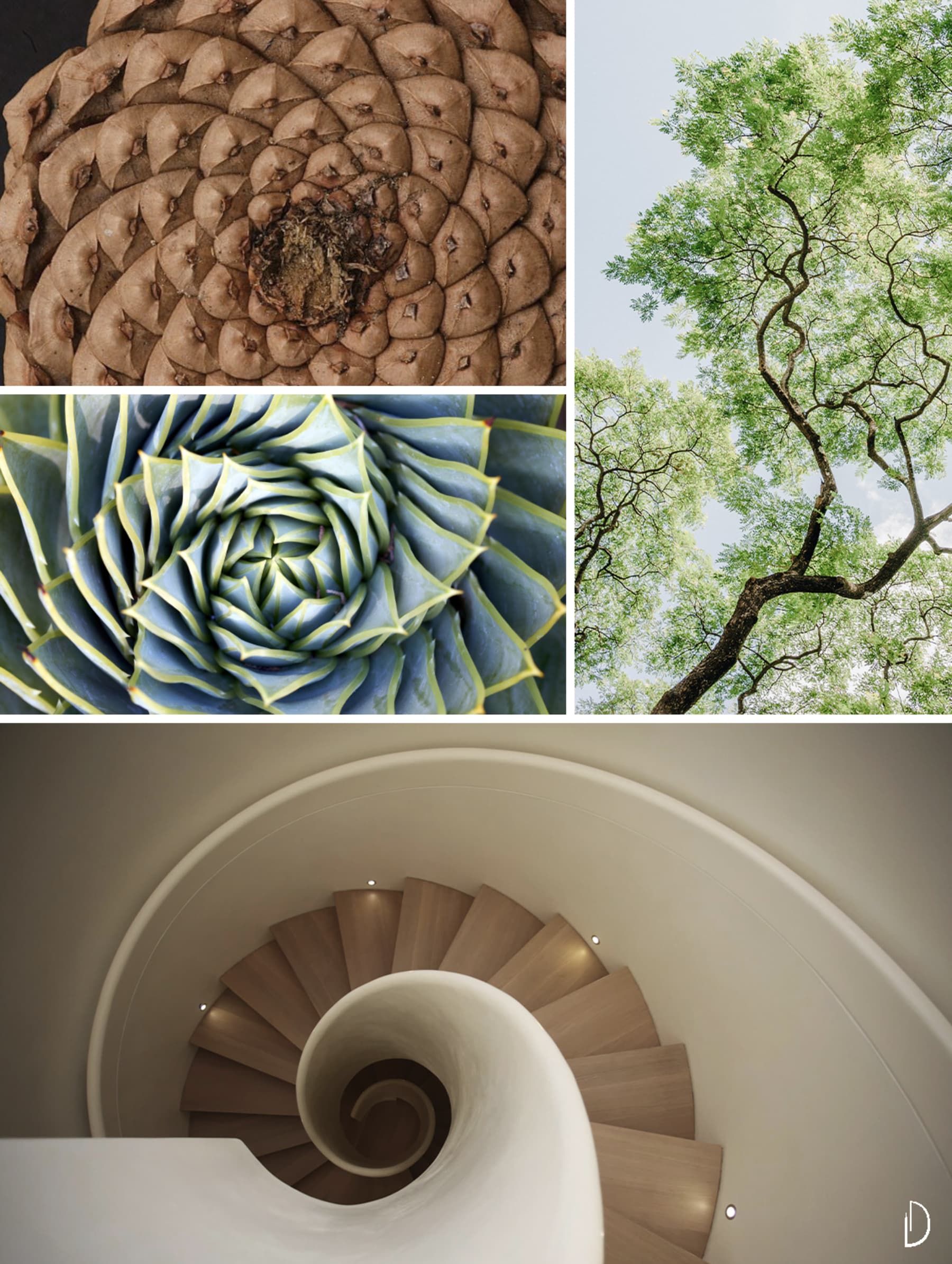 Biophilic & Sustainable Interior Design · Biophilic moodboards Biophilic & Sustainable Interior Design · Biophilic moodboards