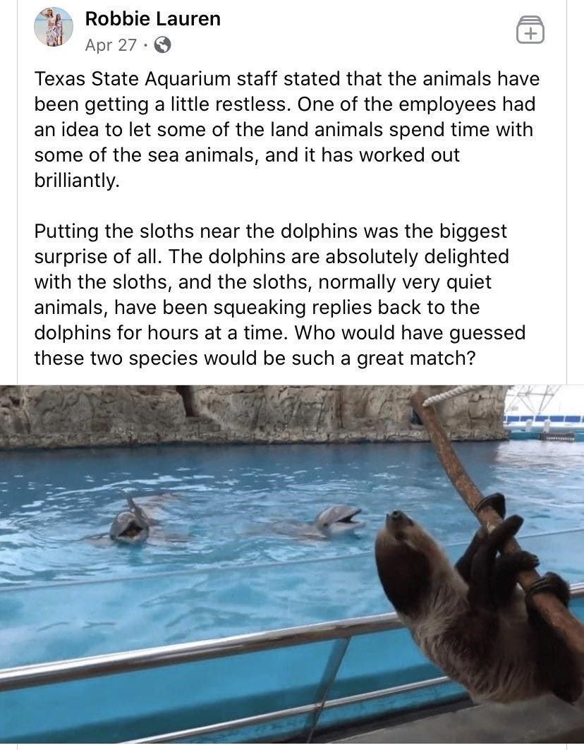 Unexpected and adorable Unexpected and adorable