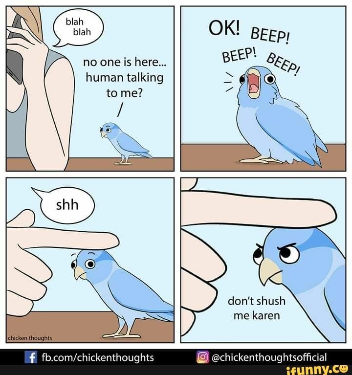 Found on iFunny Cute Little Animals, Cute Funny Animals, Funny Cute, Cute Cats, Animal Jokes, Funny Animal Memes, Funny Memes, Funny Birds, Cute Birds