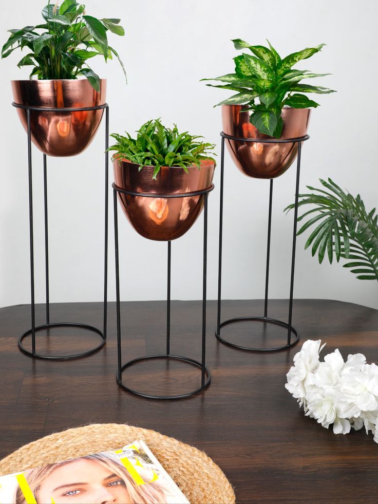 Want to go in for a more rustic and authentic look? Don't worry, we've got you covered! Introducing the Mini Version of our Copper Black Metal Planters (Set of 3). This will surely vamp up your indoor space. Following are the measurements: Size- 14/16/18 Inches Pot Size- 5.5*6 Inches Metal Planters, Indoor Planters, Planter Pots, Plant Decor Indoor, Black Metal, Copper, Rustic, Don't Worry, Mini