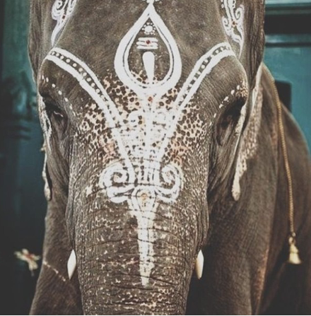 ohhhh sweet boho elephant