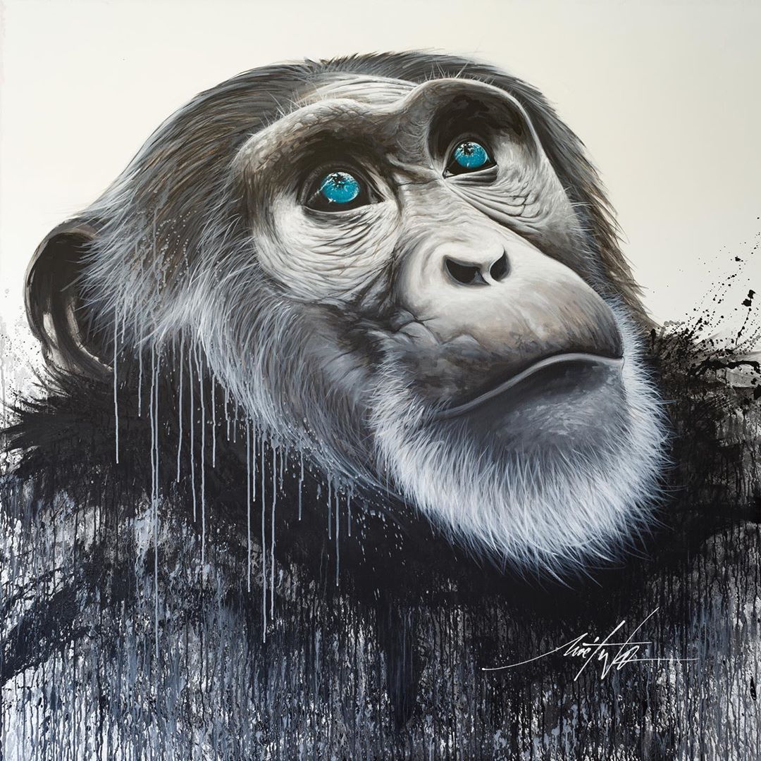 Graffiti Art Magazine on Instagram: “Latest creation of the French street-artist Noe Two, For the first time, the artist depicts a young gorilla with a hopeful look at a better…” Graffiti Alphabet, Graffiti Lettering, Graffiti Artist, Wildstyle, French Street, Great Ape, Graffiti Styles, Street Culture, Street Artists