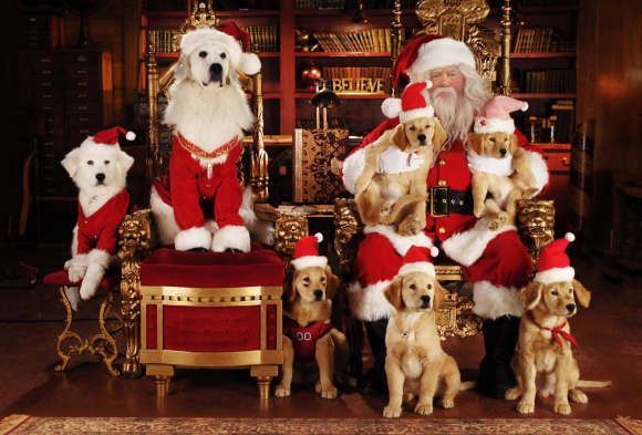 Die neun schlechtesten Weihnachtsfilme | Weihnachtshund, Weihnachten