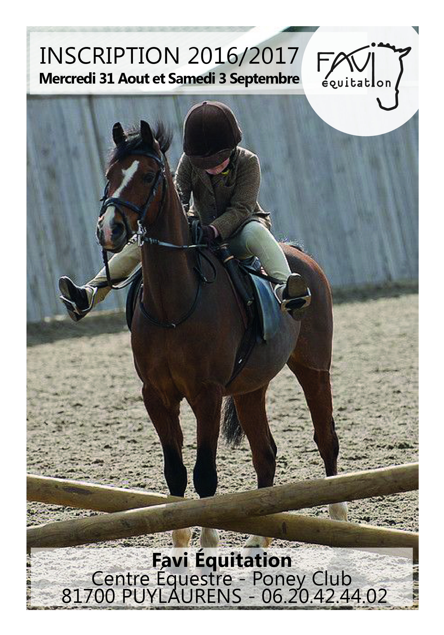 dressage chien 02