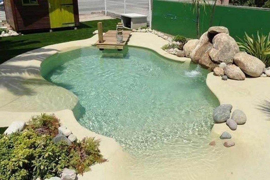 20 Top Natural Small Pool Design Ideas To Copy Asap Small Pool Design Swimming Pool Designs Beach Entry Pool