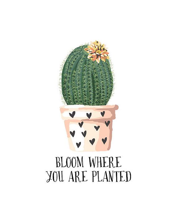 The Best Is Yet To Come The Best Is Yet To Come Plant Wallpaper Wallpaper Quotes