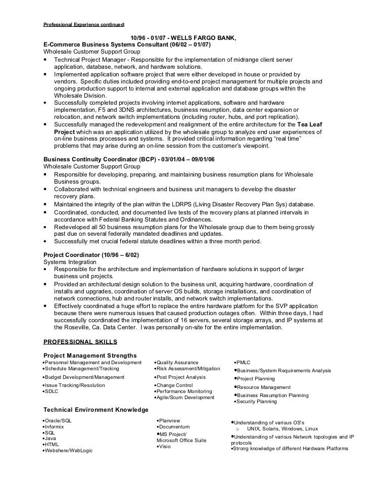 Sample Resume Infrastructure Project Manager Project