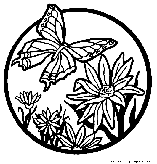 coloring page printable butterfly colouring butterfly color page