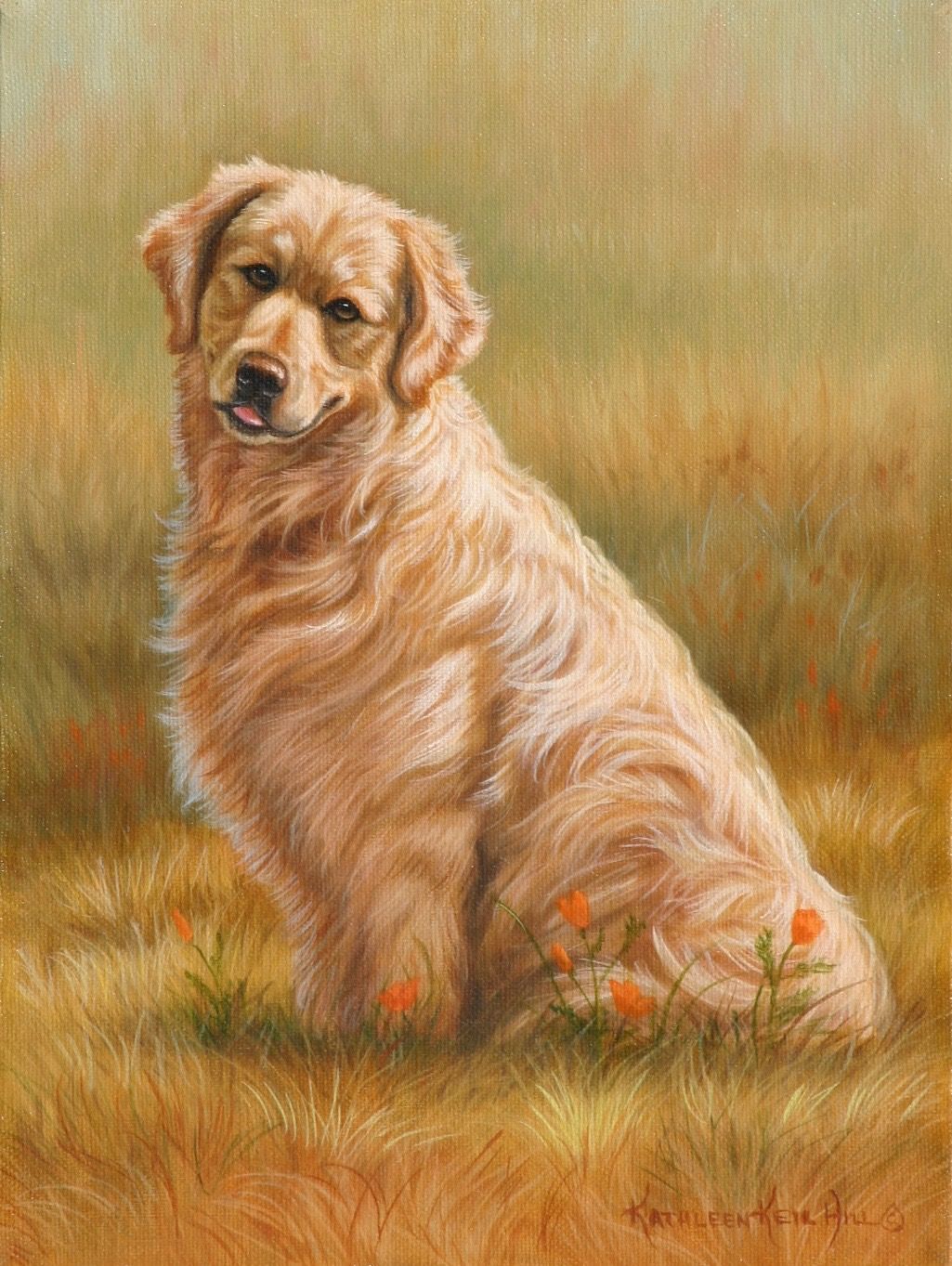A Golden Glow 9 X 12 Oil On Canvas Of A Golden Retriever Sitting