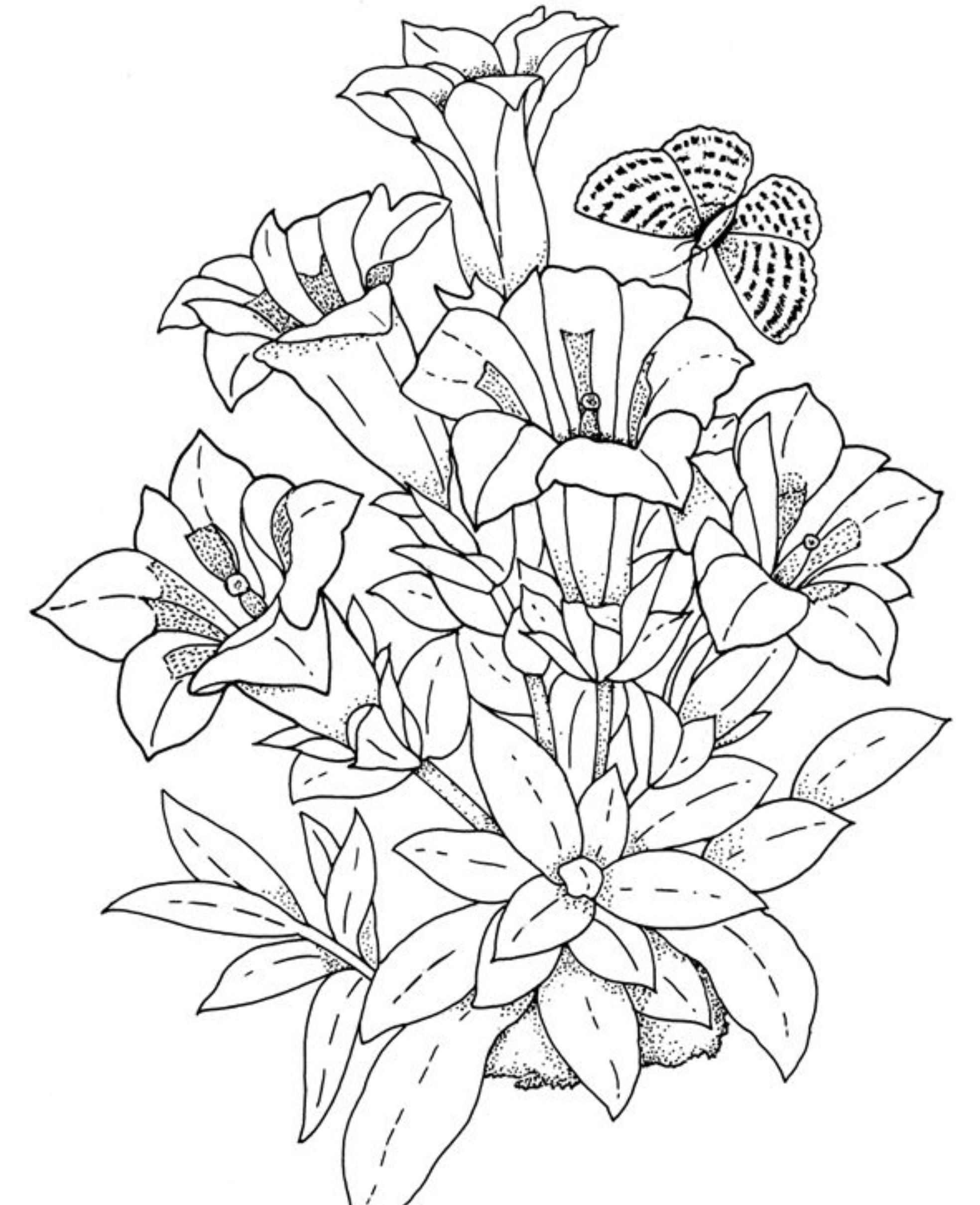 36 Marvelous Coloring Page For Toddlers Sunflower Coloring Pages - 36 Marvelous Coloring Page For Toddlers Sunflower Coloring Pages