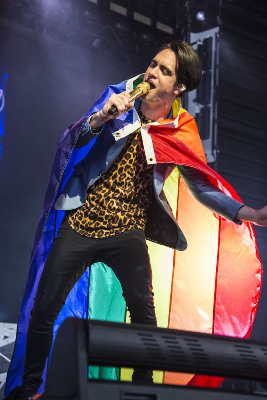 panic at the disco gay Panic at the disco gay