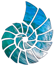 animated seashell