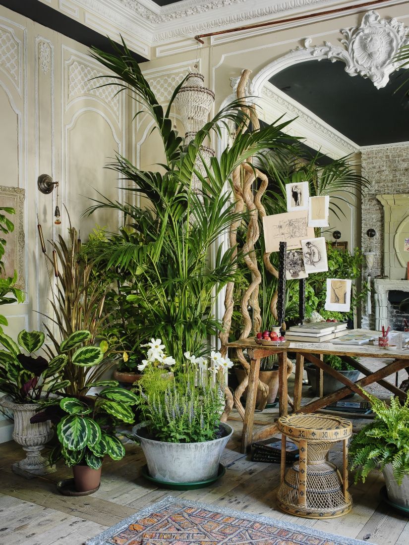 renovation maison w9