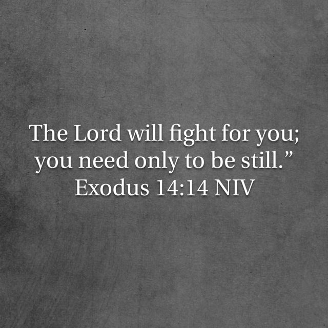 Gospel Quotes Delectable Pin By Diana Cardenales On In God We Trust Pinterest Exodus 48 Gospel Quotes Delectable Pin By Diana Cardenales On In God We Trust Pinterest Exodus 48