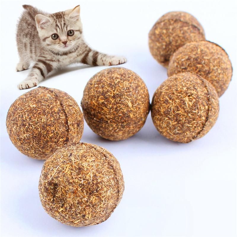 Kitty Catnip Toy Catnip Toys Homemade Cat Toys Cat Diy