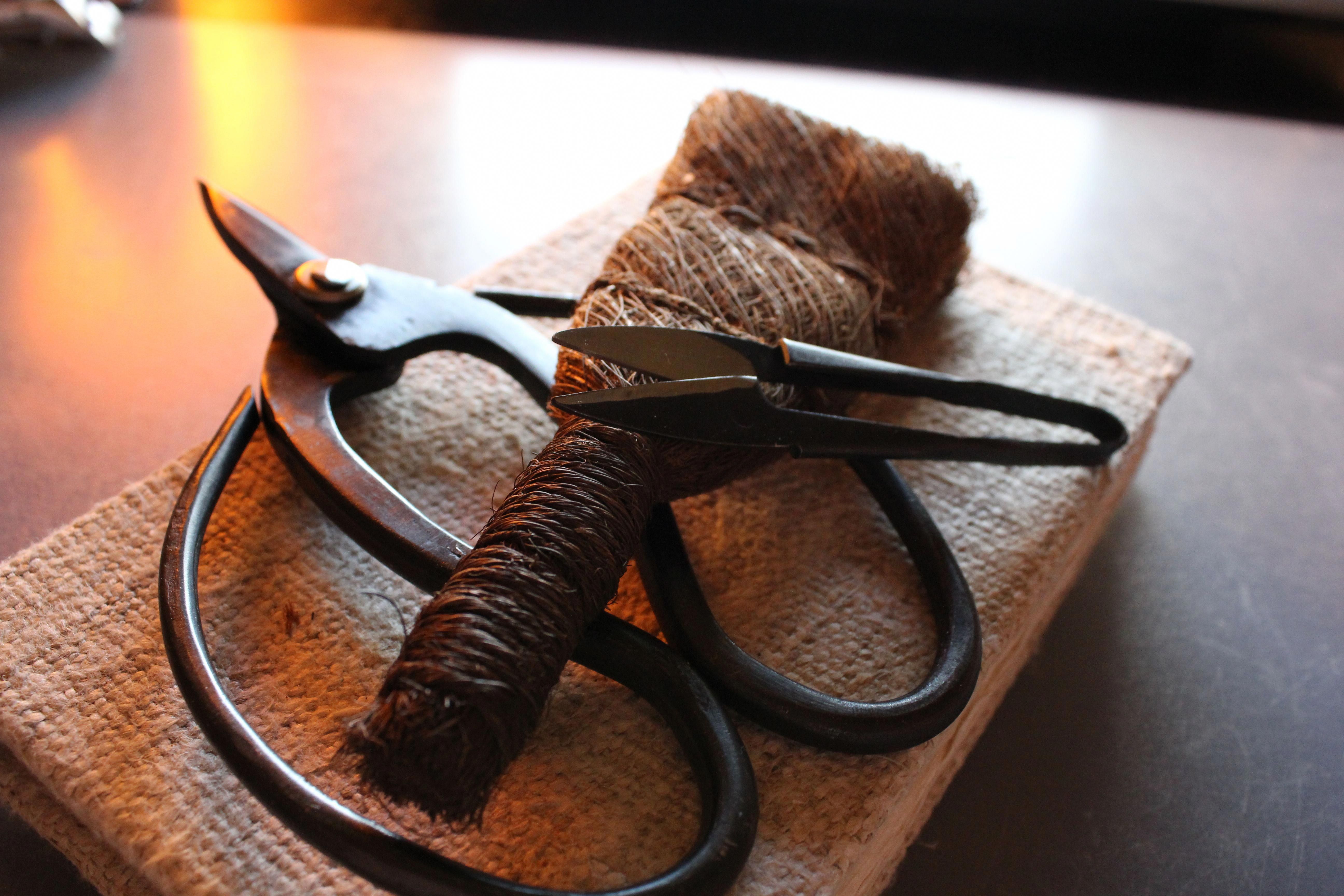 Tree pruning IA Alburnett bonsai kit,