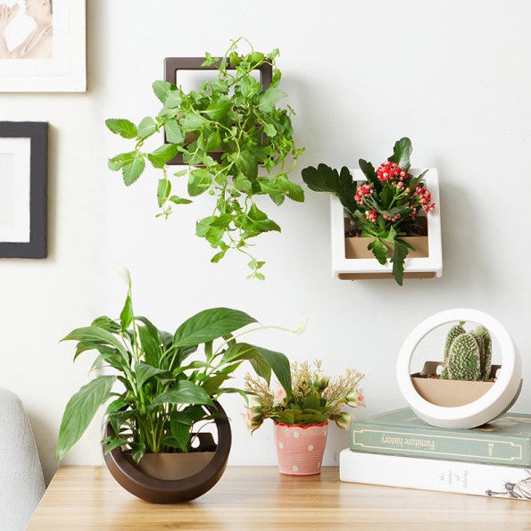 Plant Pot China Planters Pots Home Garden Hanging Plants Wall Flower - Indoor Tree Planter Pots Plant Pot China Planters Pots Home Garden Hanging Plants Wall Flower - Indoor Tree Planter Pots