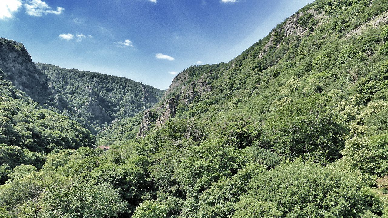 Wandern harz singles