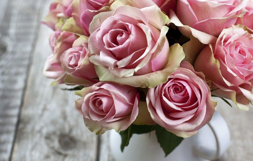 7 Trucos Para Que Las Flores Luzcan Mejor Y Duren Más Flowers Rose Beautiful Roses