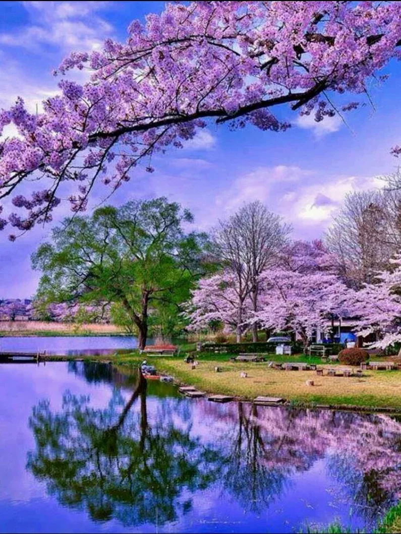 Amazing Beautiful Places In Japan Amazing Beautiful Places In Japan
