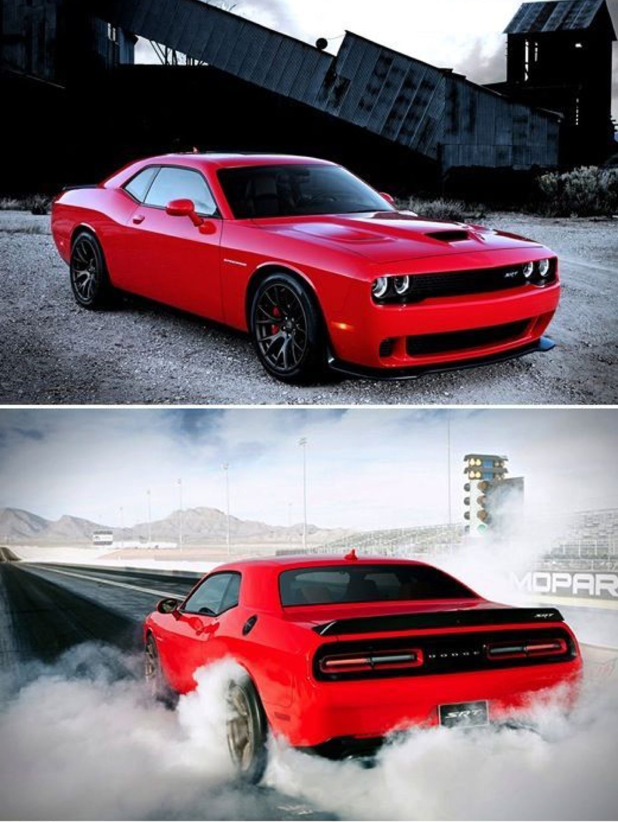 Little Hellcat Little Hellcat