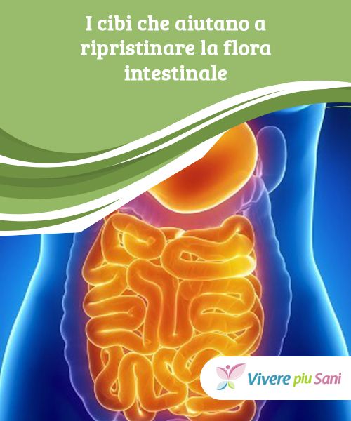 ripristinare bene la flora diete da seguire per dimagrire