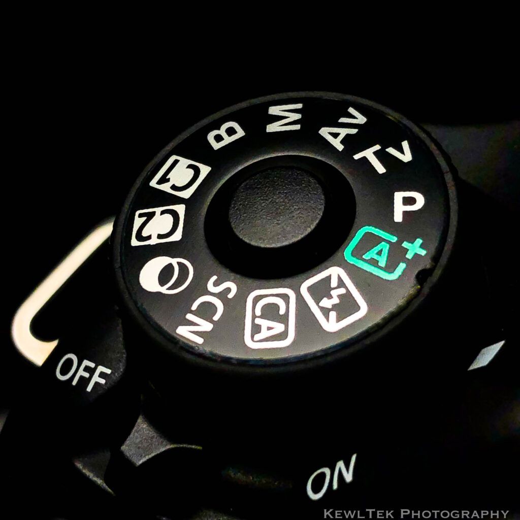 My Image 14