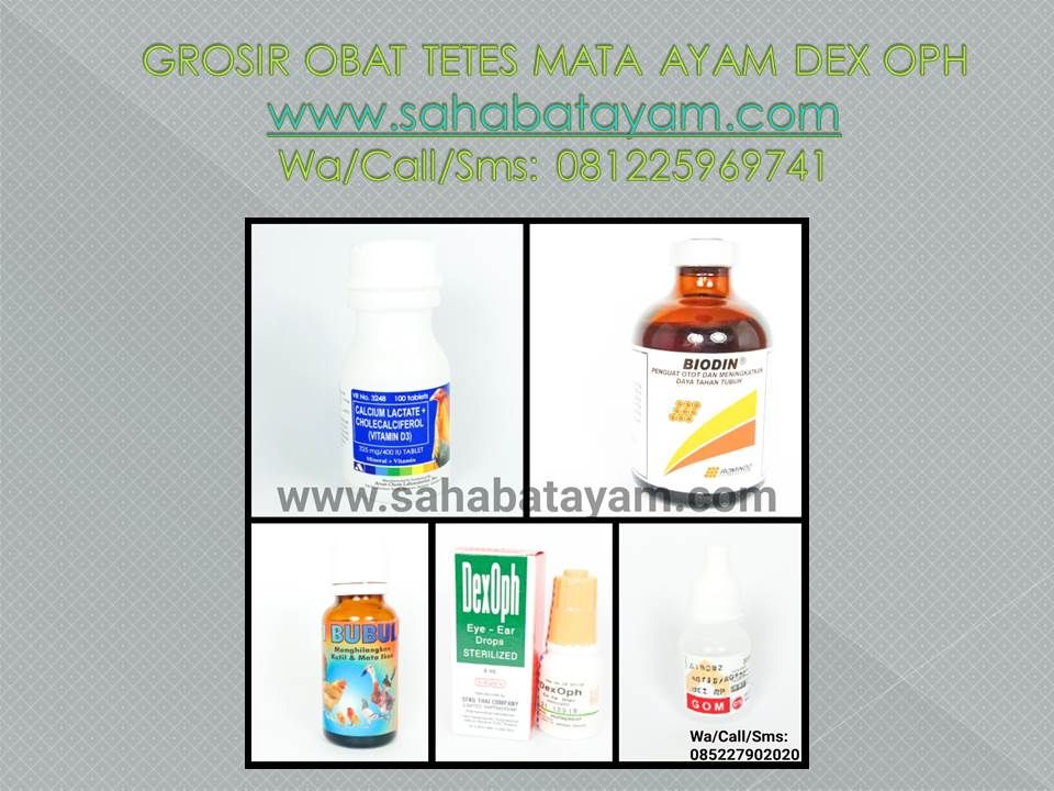 Cara Pemakaian Obat Tetes Mata ID.Lif.co.id